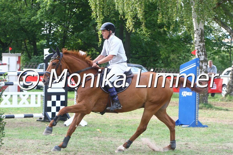 308M4250_Fellow_Zwei Phasen Sx.JPG